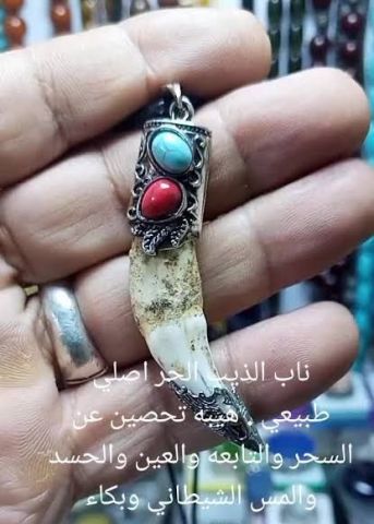 ناب الذئب للبيع