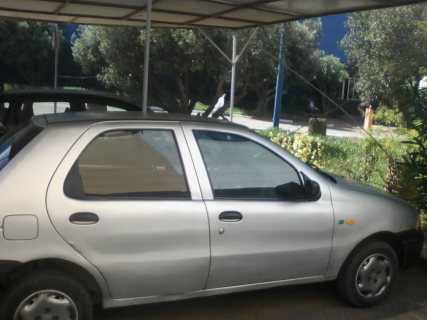 fiat palio