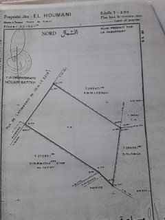 قطعة أرضية للبيع للسكن T31مساحتها 217متر